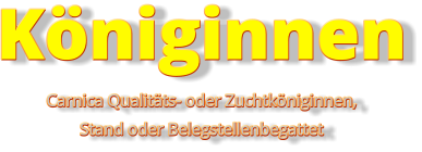 Königinnen Carnica Qualitäts- oder Zuchtköniginnen,Stand oder Belegstellenbegattet