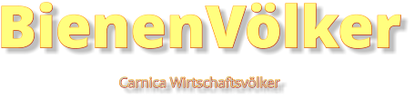 BienenVölker Carnica Wirtschaftsvölker