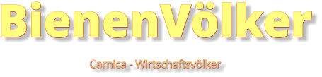 BienenVölker Carnica - Wirtschaftsvölker